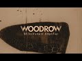 Universal Audio UAFX Woodrow '55 - Imagen Nº5