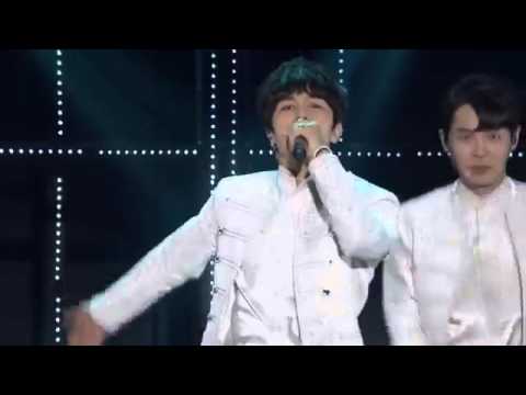 shinhwa 17th anniversary top