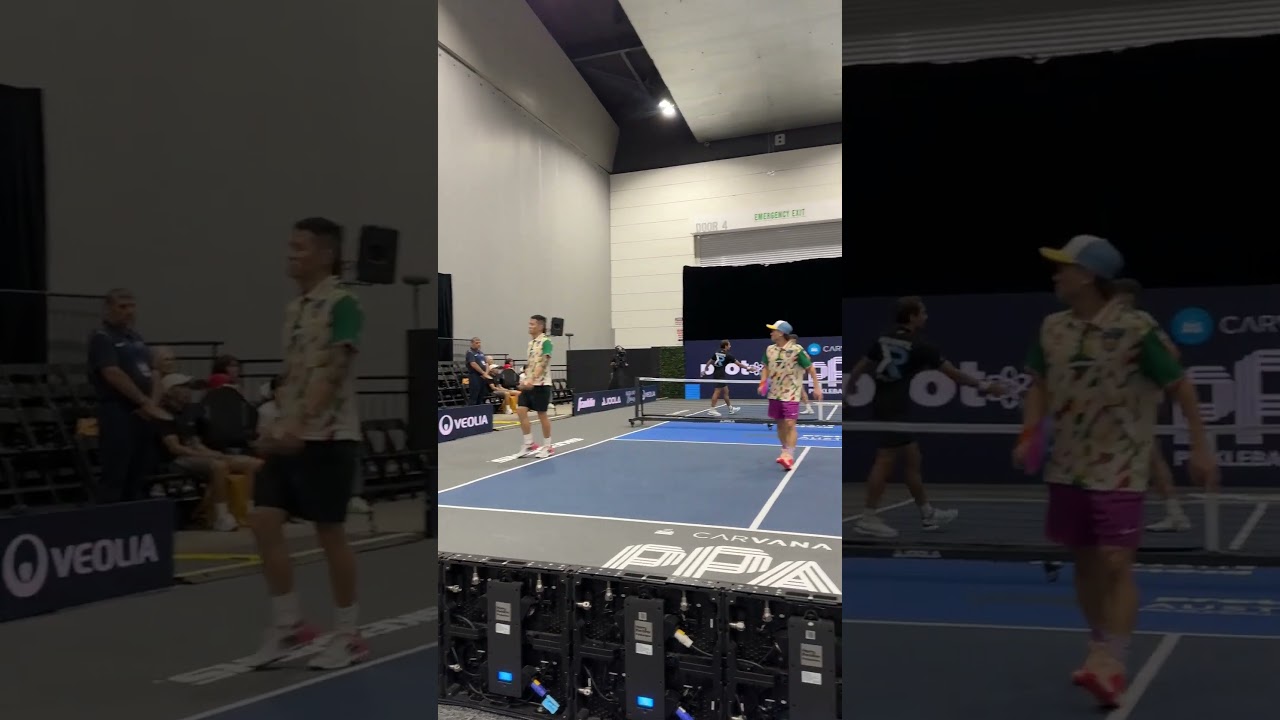 Just call me an artist 🎨⁠ #pickleball #propickleball #explore #shorts