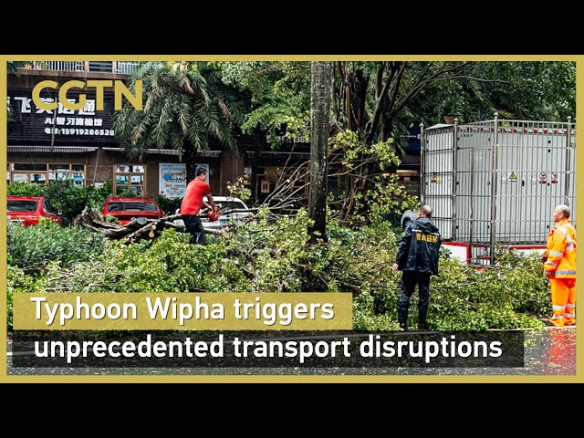 Typhoon Wipha triggers unprecedented transport disruption in S China