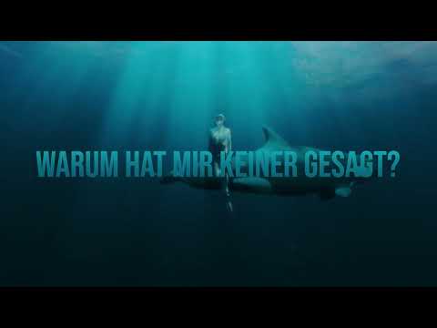 Sarah Connor - Warum hat mir keiner gesagt? (Offizieller VIsualizer)