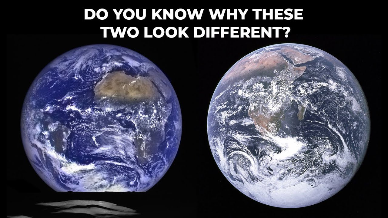 Livestream: Conspiracy Theories and the Environmental Movement Part 2