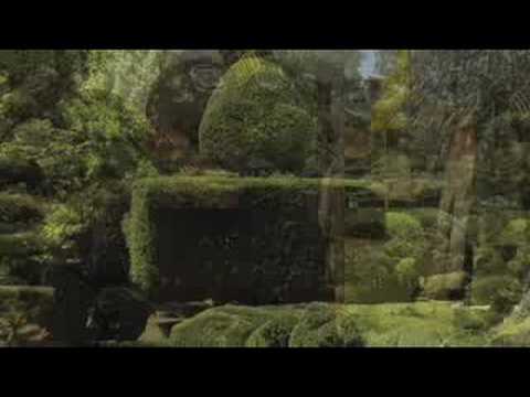 screenshot of youtube video titled Pearl Fryar's Topiary Garden