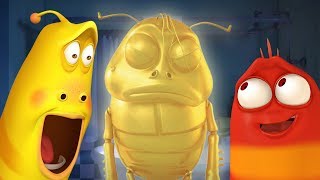 Larva - Kupel