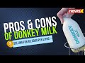 Is Donkey Milk Worth Rs.5000/- Per Litre Really Healthy? | NewsX | 2024