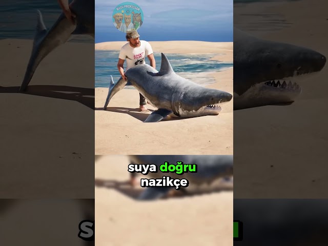 Köpek Balığına Yardım Ederken Dikkat Et! 🦈🌊🤦🏻‍♂️