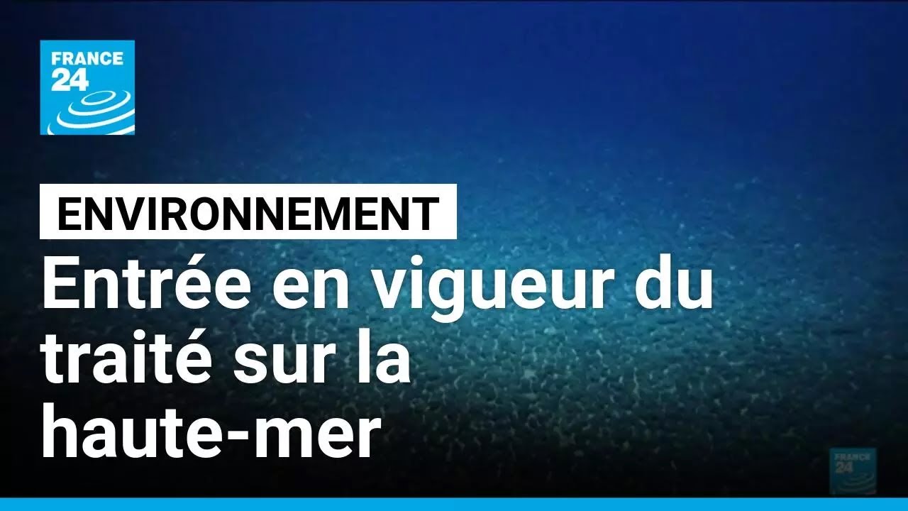 Traité des Nations unies sur la haute mer : quels enjeux ? • FRANCE 24
