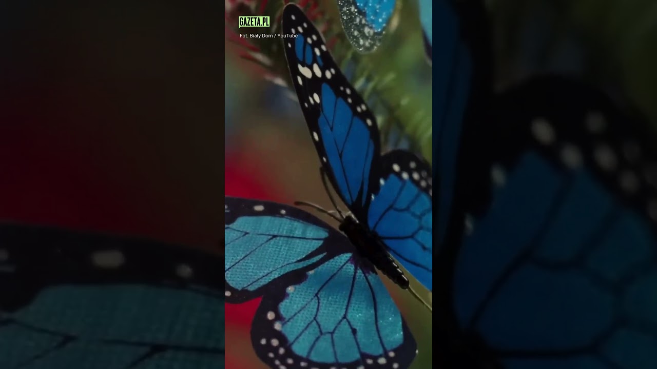 Melania Trump pokazała, jak udekorowała Biały Dom. Nie zabrakło portretu jej męża #trump