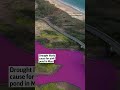 Drought likely cause for pink pond in Maui  - 00:23 min - News - Video