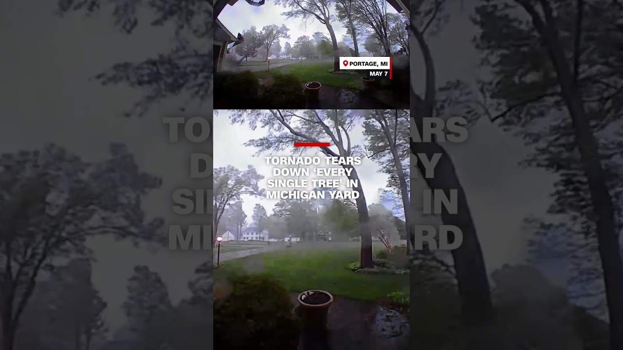 Tornado tears down ‘every single tree’ in Michigan yard