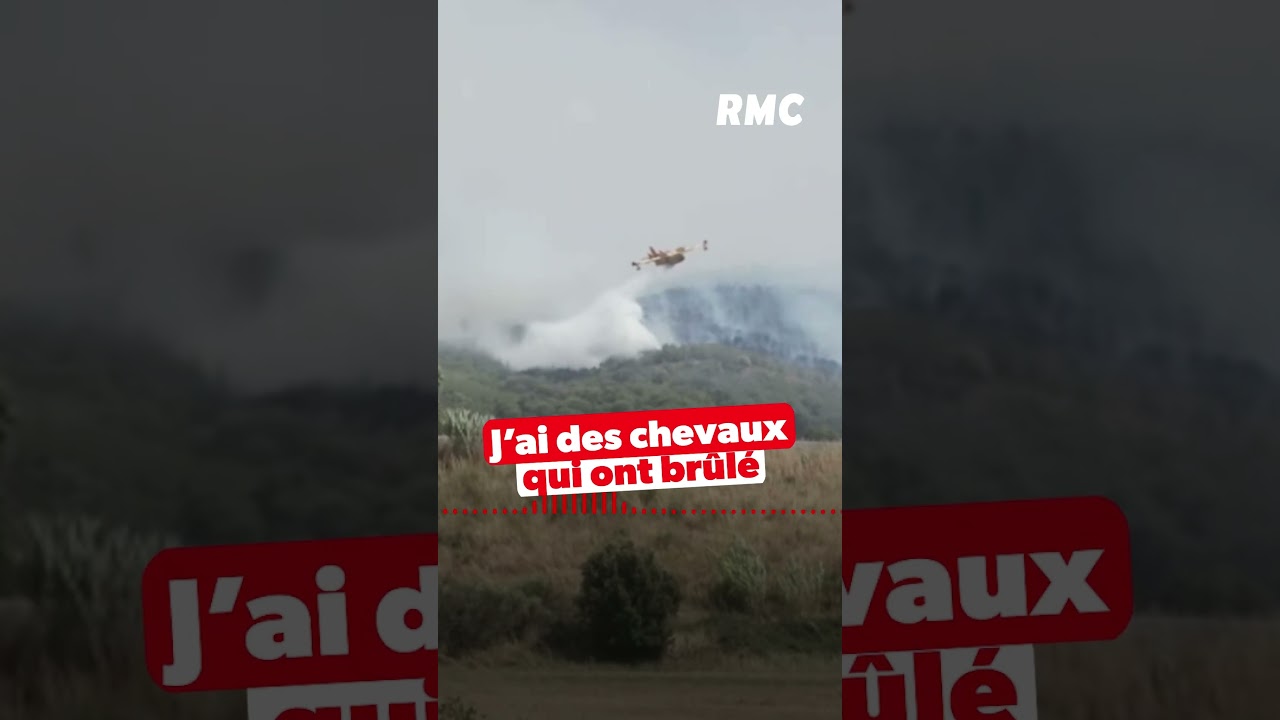 La détresse de Nathalie, qui a tout perdu dans le terrible incendie de Narbonne