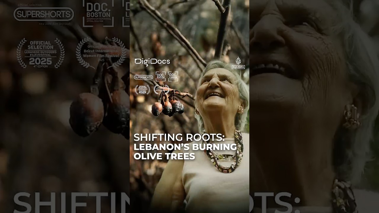 Shifting Roots | DigiDocs Shorts