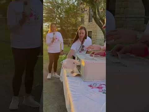 Race Video