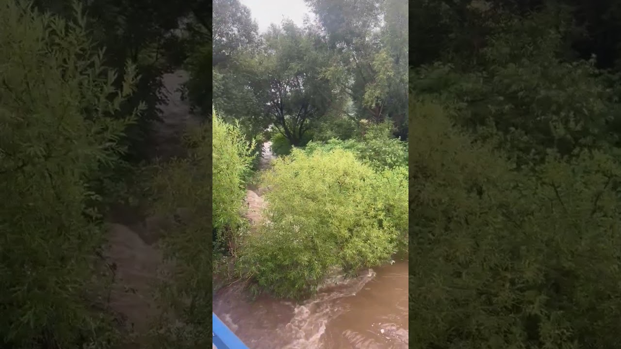 Kałków(woj. opolskie), skutki przerwania wału przez potok Widna