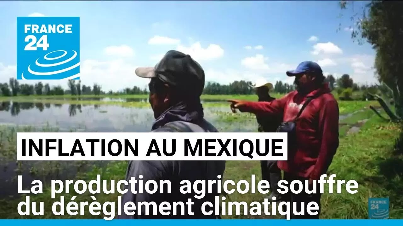 Inflation au Mexique : la production agricole souffre du dérèglement climatique • FRANCE 24