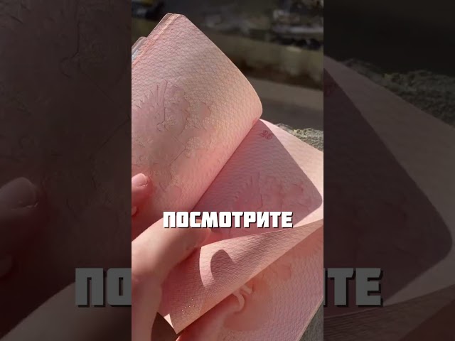 ОТЛИЧНЫЙ ПУТЕШЕСТВЕННИК