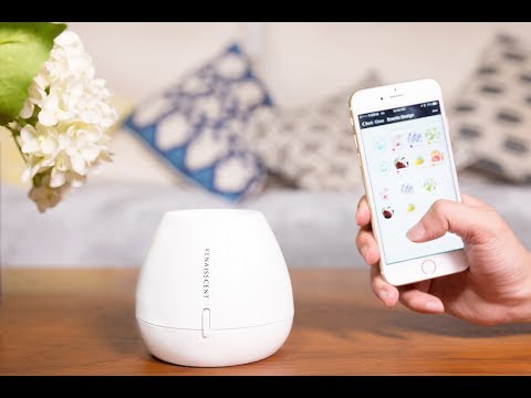 Renaisscent Waterless Smart Diffuser Renaisscent Waterless Smart Diffuser