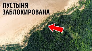 Эта страна убрала тонны песка из пустыни, но зачем?