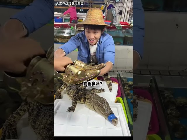 Have you ever eaten crocodile claws|Chinese Mountain Forest Life And Food #MoTiktok #Fyp