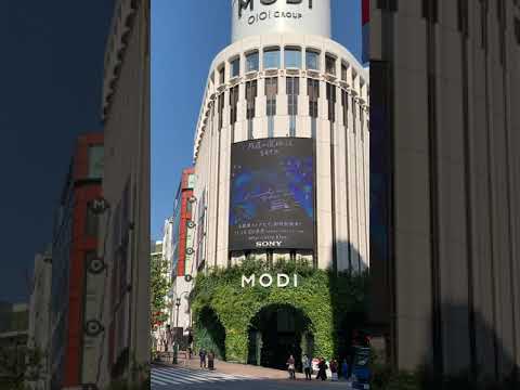 SETA MODIビジョン「片道の夜行バス」