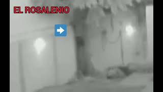 Entró a robar y recibió un palazo