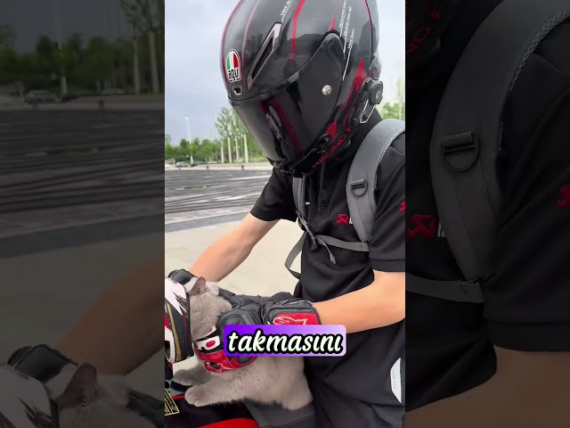 Motosiklet Kedisinin Şovu❗😂