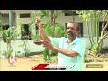Birds Struggling For Water, Venkatesh Awareness To Get Rid Of Water Scarcity For Birds | V6 News  - 04:22 min - News - Video