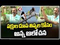 Birds Struggling For Water, Venkatesh Awareness To Get Rid Of Water Scarcity For Birds | V6 News
