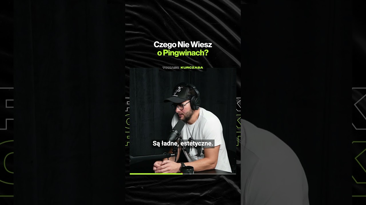 Czego Nie Wiesz o Pingwinach – ft. Tomasz Kurczaba