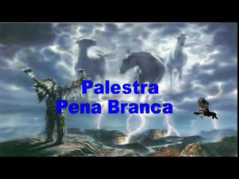 Galeria de Vídeos