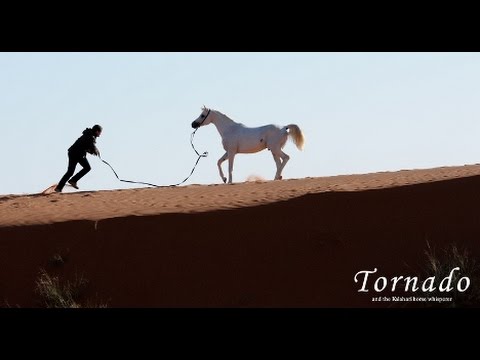 Tornado and the Kalahari Horse Whisperer'