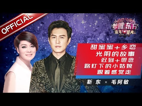 靳东 毛阿敏《甜蜜蜜+乡恋+光阴的故事+迟到+思念+路灯下的小姑娘+跟着感觉走》—东方卫视2018梦圆东方跨年盛典【东方卫视官方高清】