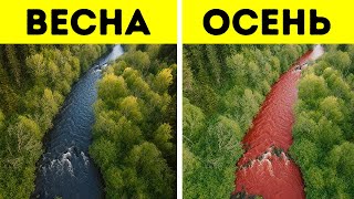 Самые непредсказуемые реки устанавливают свои собственные правила