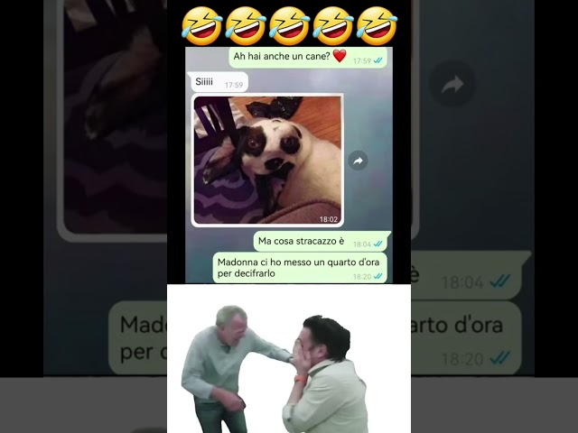 STO ANCORA MORENDO DALLE RISATE #146 🤣😂😁 #divertente #risate #umorismo #ridere