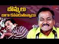 బొమ్మలు బాగా కనపడుతున్నాయి..!! Brahmanandam and LB Sriram Best Hit Comedy Scene | Navvula TV