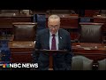 Schumer condemns Trump for claiming Jews who vote for Democrats hate Israel