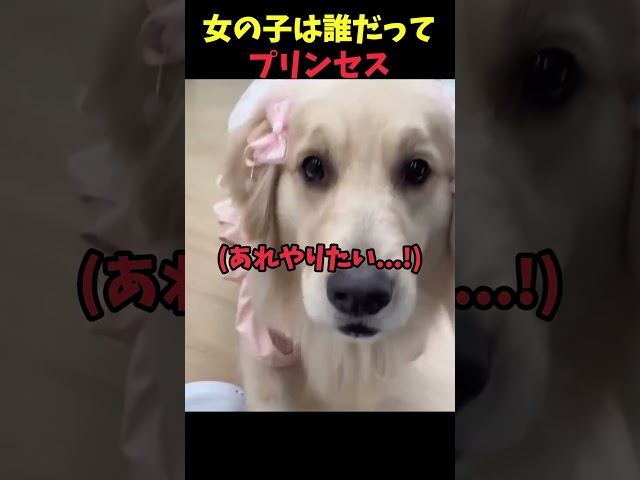 女の子は誰だってプリンセス