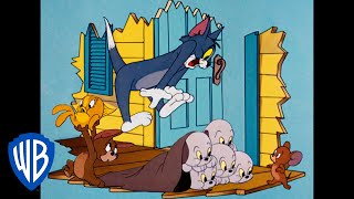 Tom a Jerry - Zachráňme to