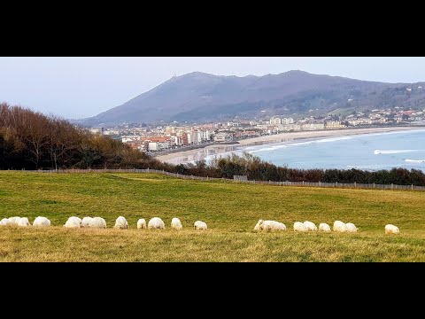 Vidéo de l’hébergement