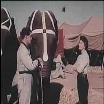 3 Ring Circus'