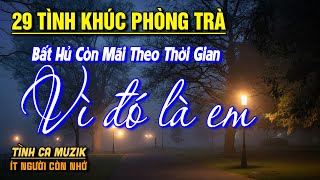 29 Bài Tình Ca Tuyển Chọn Đảm Bảo THỔN THỨC TÂM HỒN ➤ Nhạc Vàng Xưa Hay Nhất Còn Mãi Theo Thời Gian