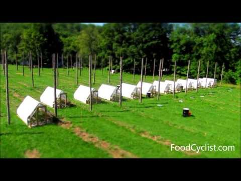 portable chicken coop 0 00 moving chicken tractors time lapse