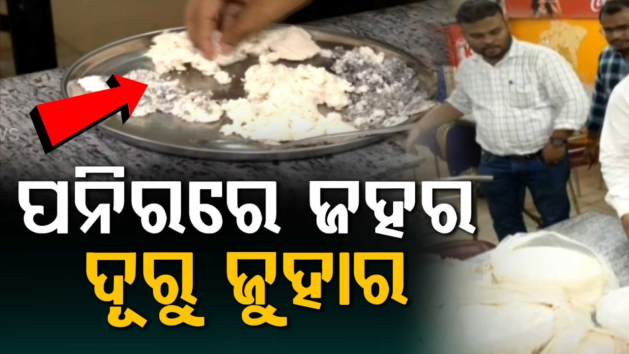 Fake Paneer Racket Busted In Cuttack; Over 1 Quintal Adulterated Paneer Seized | Argus News