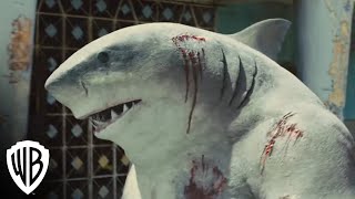 King Shark Nom Nom Music Video