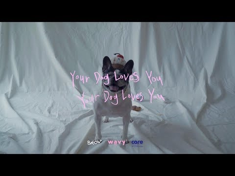 Colde (콜드) - Your Dog Loves You (Feat. Crush) (Official Video)