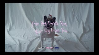 Colde (콜드) - Your Dog Loves You (Feat. Crush) (Official Video)