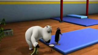 Medve Bernard - Gymnastika