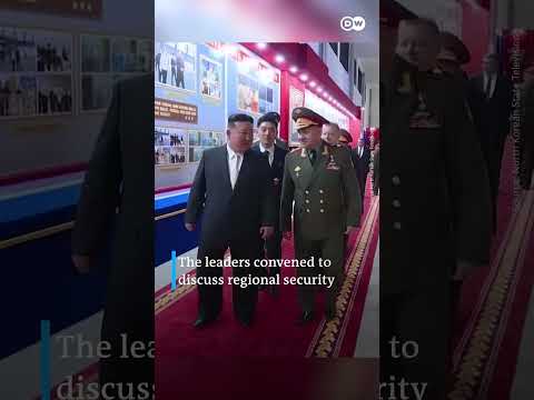 Russia's Defense Minister Shoigu visits North Korea | DW News