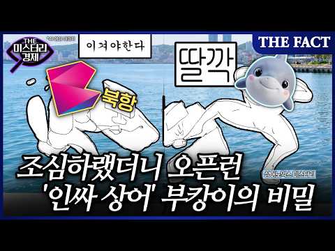 🦈 부산 북항 인싸 상어 '부캉이'가 쏘아 올린 경제 <strong>효과</strong>｜상어노믹스 미스터리｜THE 미스터리경제 <strong>EP</strong>.30