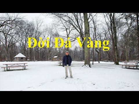 Đời Đá Vàng | Tuấn Ngọc | Sáng tác: Vũ Thành An